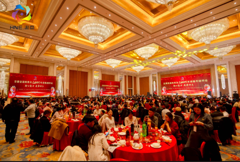 安徽省湖南商会举办“凝心聚力 乘势而上”2025年迎新团拜会