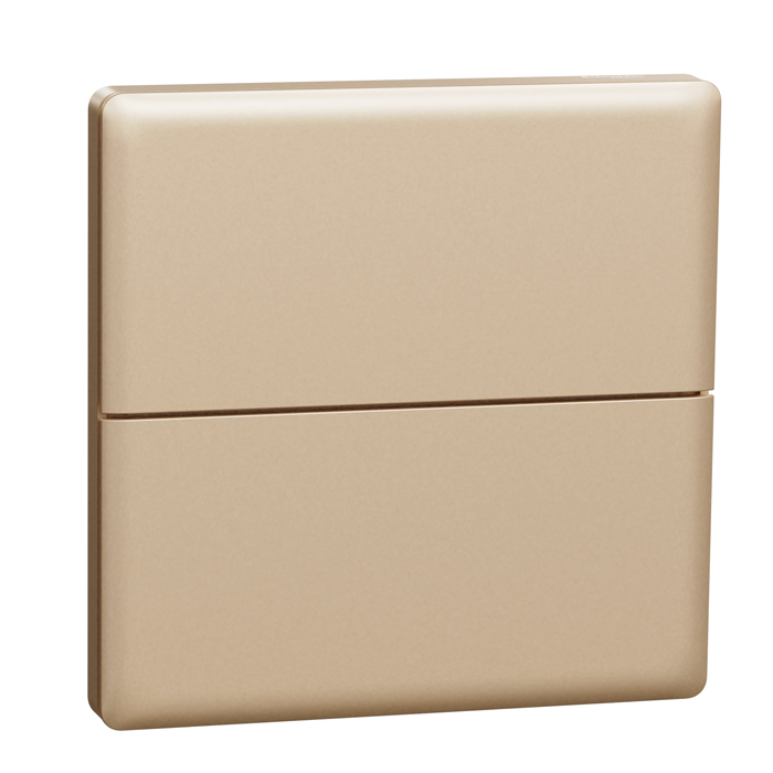 20241202103028_48152.jpg NP16162_01WG 珍铂系列4键智能面板-晨曦金.jpg