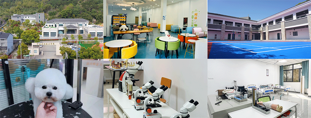 20250606124620_37238.png 头图s.png