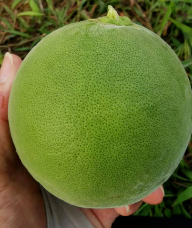 20220510100650_33094.png image.png