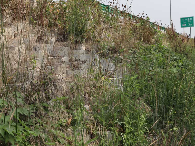 坡改平生态护坡砖工程案例