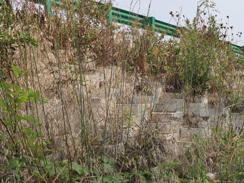 20250807170246_43511.jpg IMG_7956.jpg