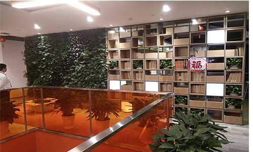 三亚免税店植物墙，三亚海棠湾植物墙，