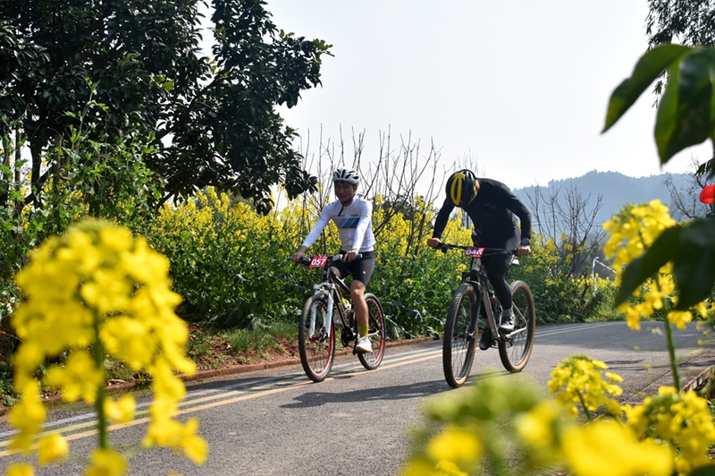 2026第三届稻田田埂自行车赛 (7).JPG