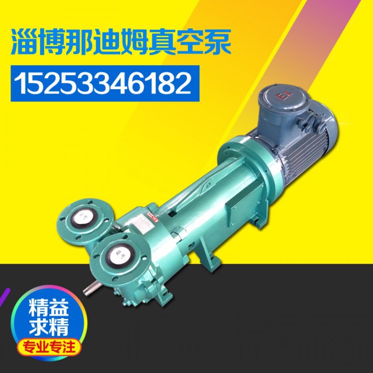 2BV6系列防爆水环式真空泵