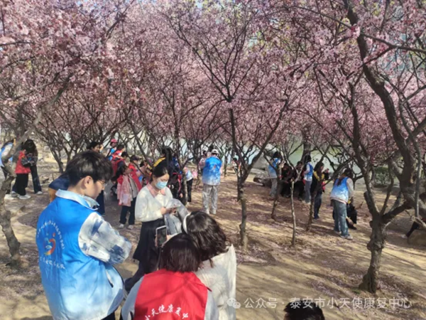 20250403091612_81006.png b8ec883ec3222bea17832fd68a43a9e.png