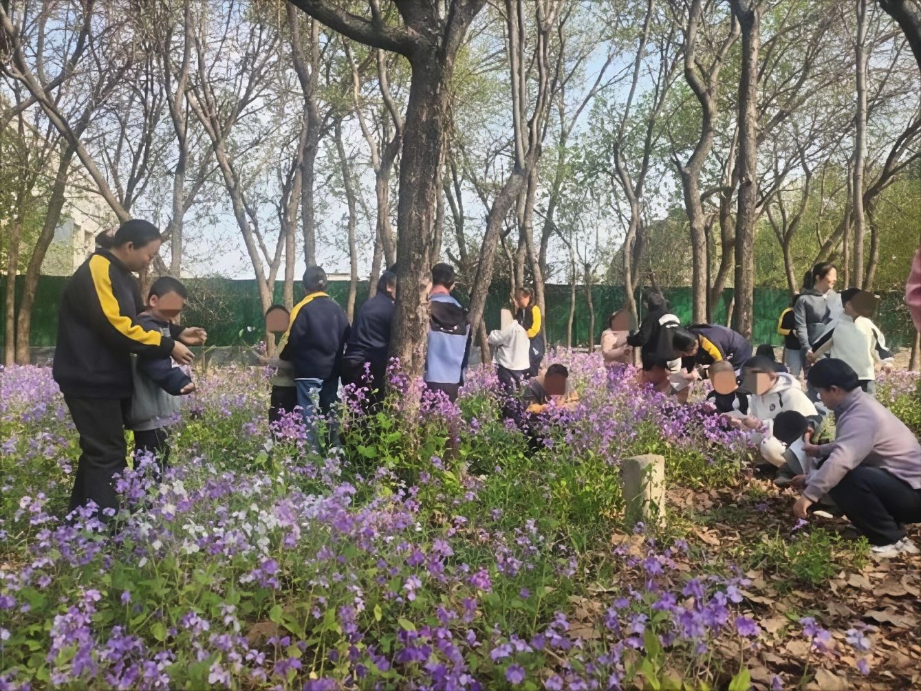 20260407091230_33366.jpg 20260407091230_33366.jpg