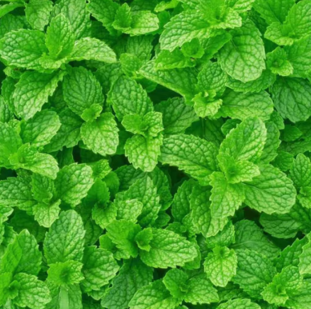 Cloud Zoom small image