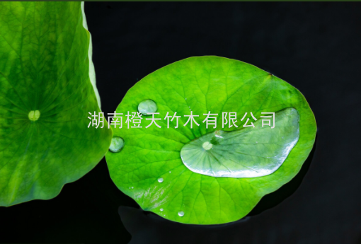 20240803110612_91556.png image.png