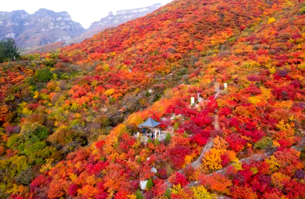  ᅟᅠ        ‌‍‎‏