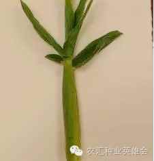 微信圖片_20220610110648.jpg