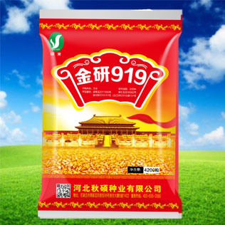 Cloud Zoom small image