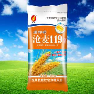 Cloud Zoom small image