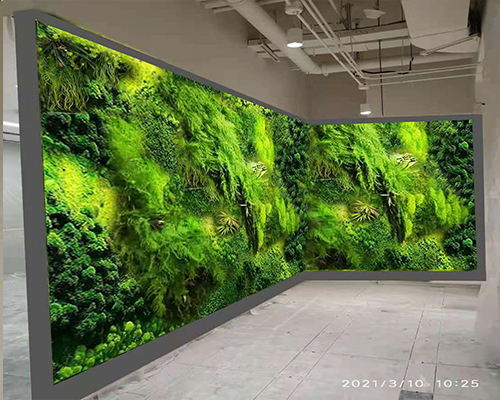 唐山银泰城购物中心永生苔藓植物墙仿真植物墙