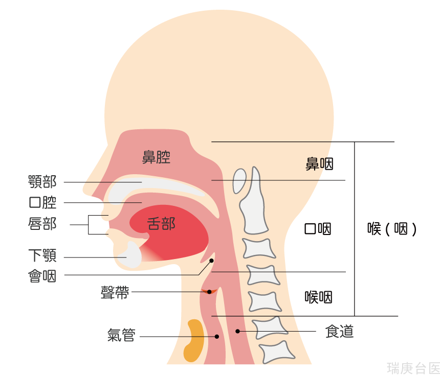 頭頸癌 | 臺灣權威醫師"若有這4種癥狀要注意"