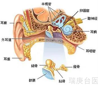 【臺灣長庚醫院】輕忽中耳炎導致耳膜破洞聽力下降 手術治療救回聽力