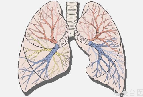 我的肺部長了結節，會變成肺癌嗎？