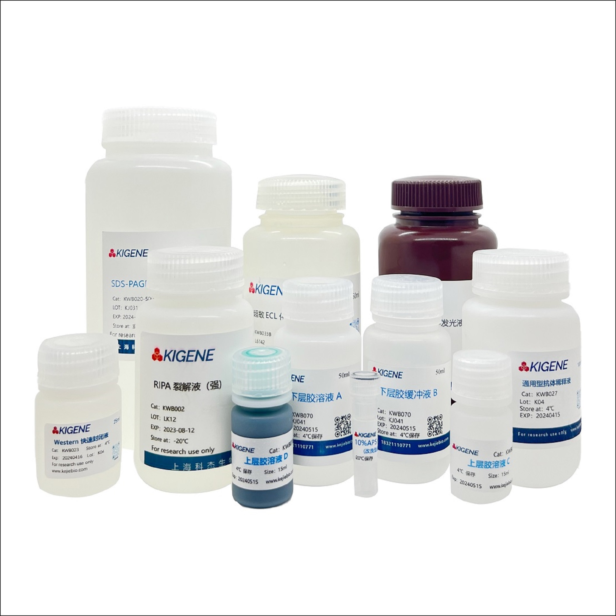 通用型封闭与抗体稀释液