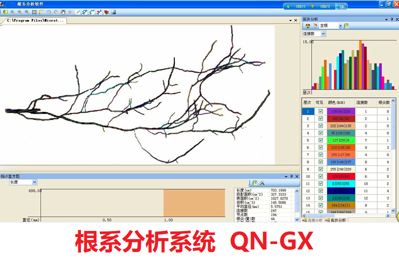 根系分析系统图1 (2).png