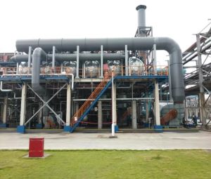 新疆某医药化工有限公司