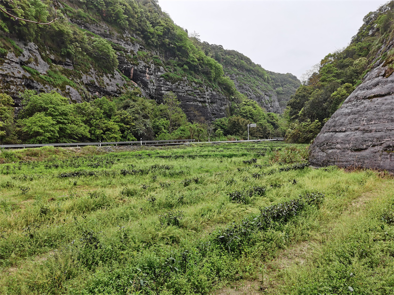 应石观口