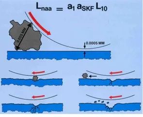 20230227095555_76665.jpg 0227-13.jpg