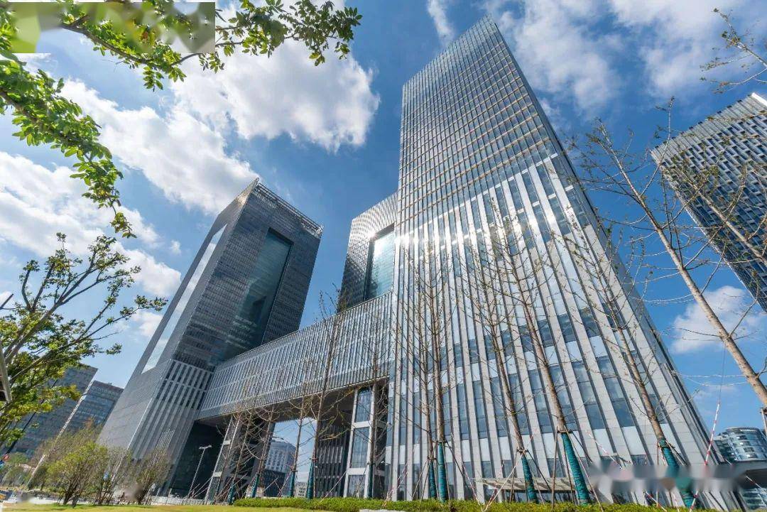 上海國際金融大廈電梯項目