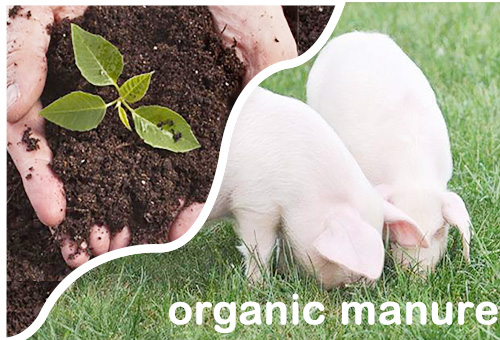 Core Maintenance Content of Organic Fertilizer Production Line