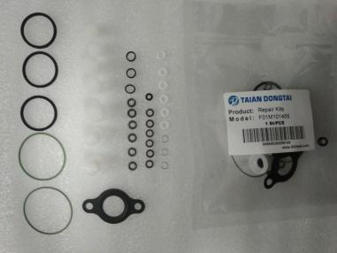 CP1 repair kit F01M101455