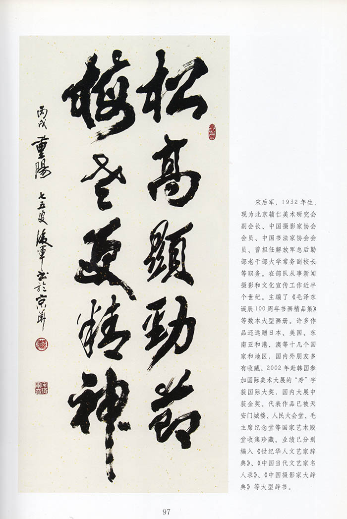 x宋厚军.jpg