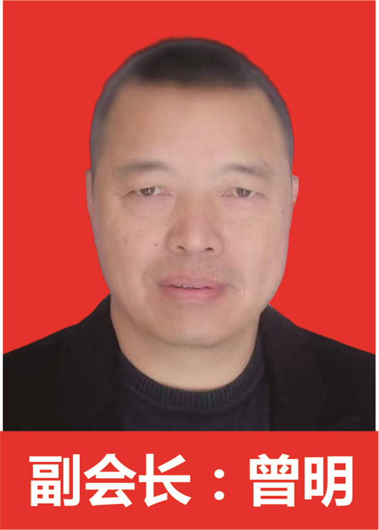 副会长 曾明