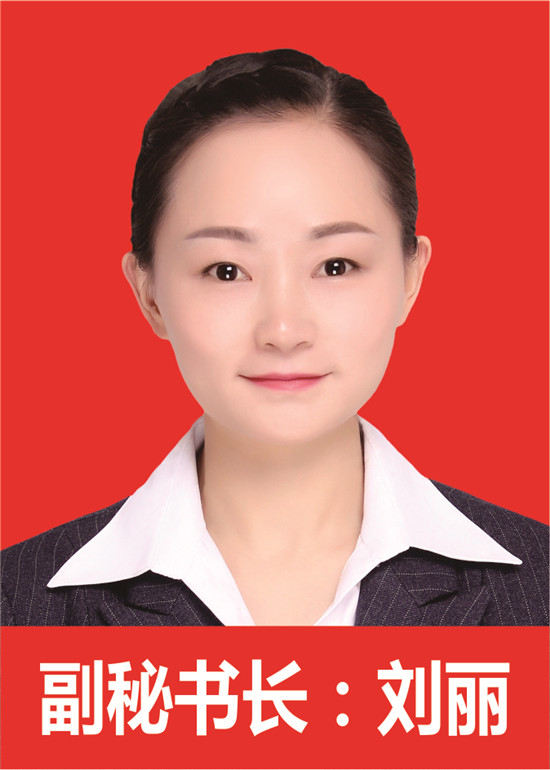 副秘书长 刘丽