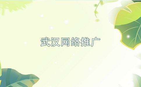武漢網(wǎng)絡(luò)推廣