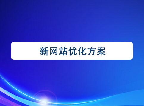 新網(wǎng)站優(yōu)化方案