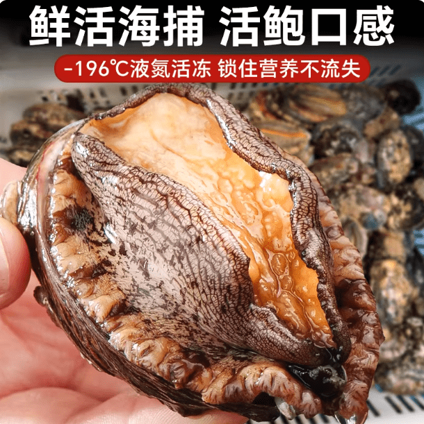 海仙部落超大鲍鱼新鲜冷冻特大