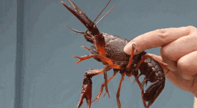 20250423215526_57798.png 8.png