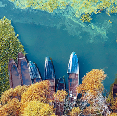 20201120171829_27633.png 微信图片_20201120160443.png